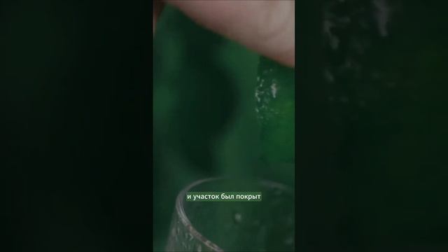 Как обеспечить влагу на огороде не только поливом. смотреть онлайн