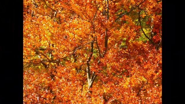 Сказки старого чайника. Сказка 2. Качеля смотреть онлайн