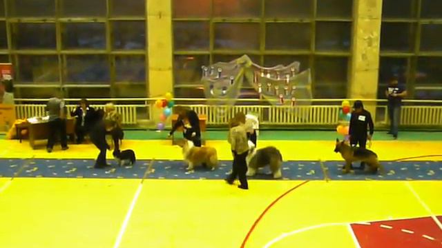 Бэст 1гр 030411 Кузня.MOV смотреть онлайн