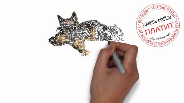Нарисованные карандашом собаки Как поэтапно карандашом нарисовать собаку робота смотреть онлайн
