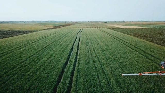 Zastita psenice od bolesti, fusarium spp смотреть онлайн