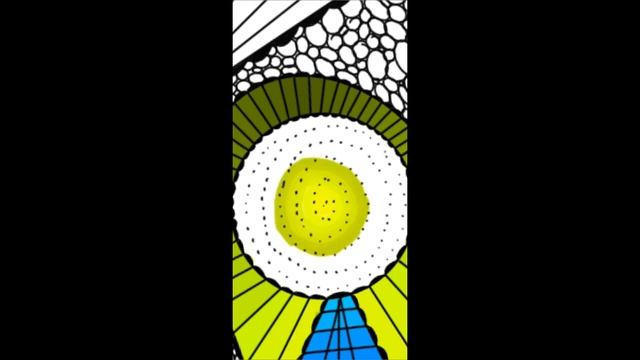 Timelapse - Over 8 hours Sketch 24. Autodesk Sketchbook Super Big Mandala Art Drawing doodle. смотреть онлайн