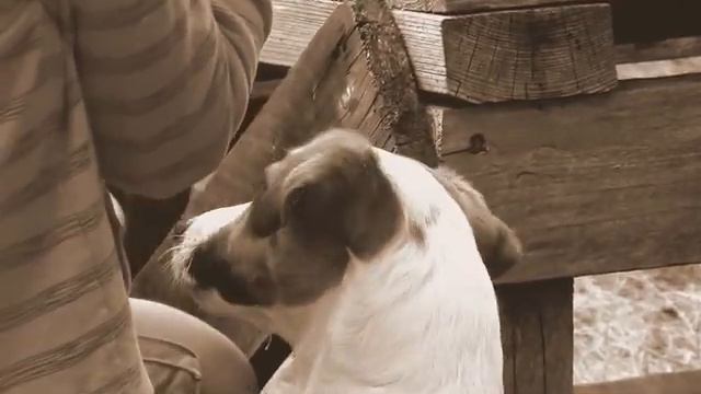 Хотнежи 8 мая 2017 (14) казачьи песни смотреть онлайн