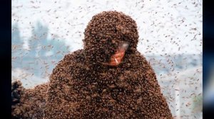 книга рекордов гиннеса ч 1