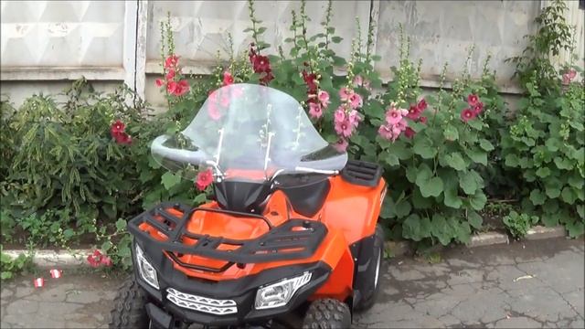 Ветровик универсальный BRAVE WARRIOR, для квадроцикла смотреть онлайн