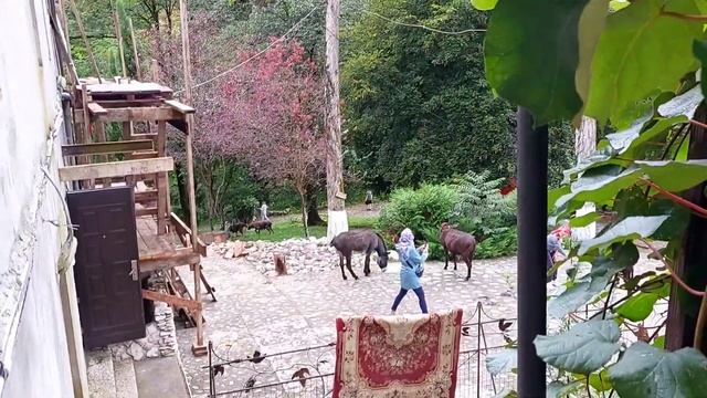 Каманский монастырь Иоанна Златоуста. 11 век. Приглашаю в паломнические туры по Абхазии. 09.2021 смотреть онлайн