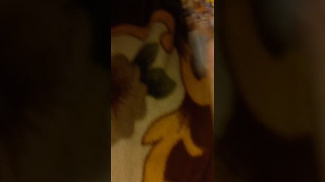 распаковка карт геншина смотреть онлайн