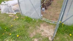 автополив в теплице