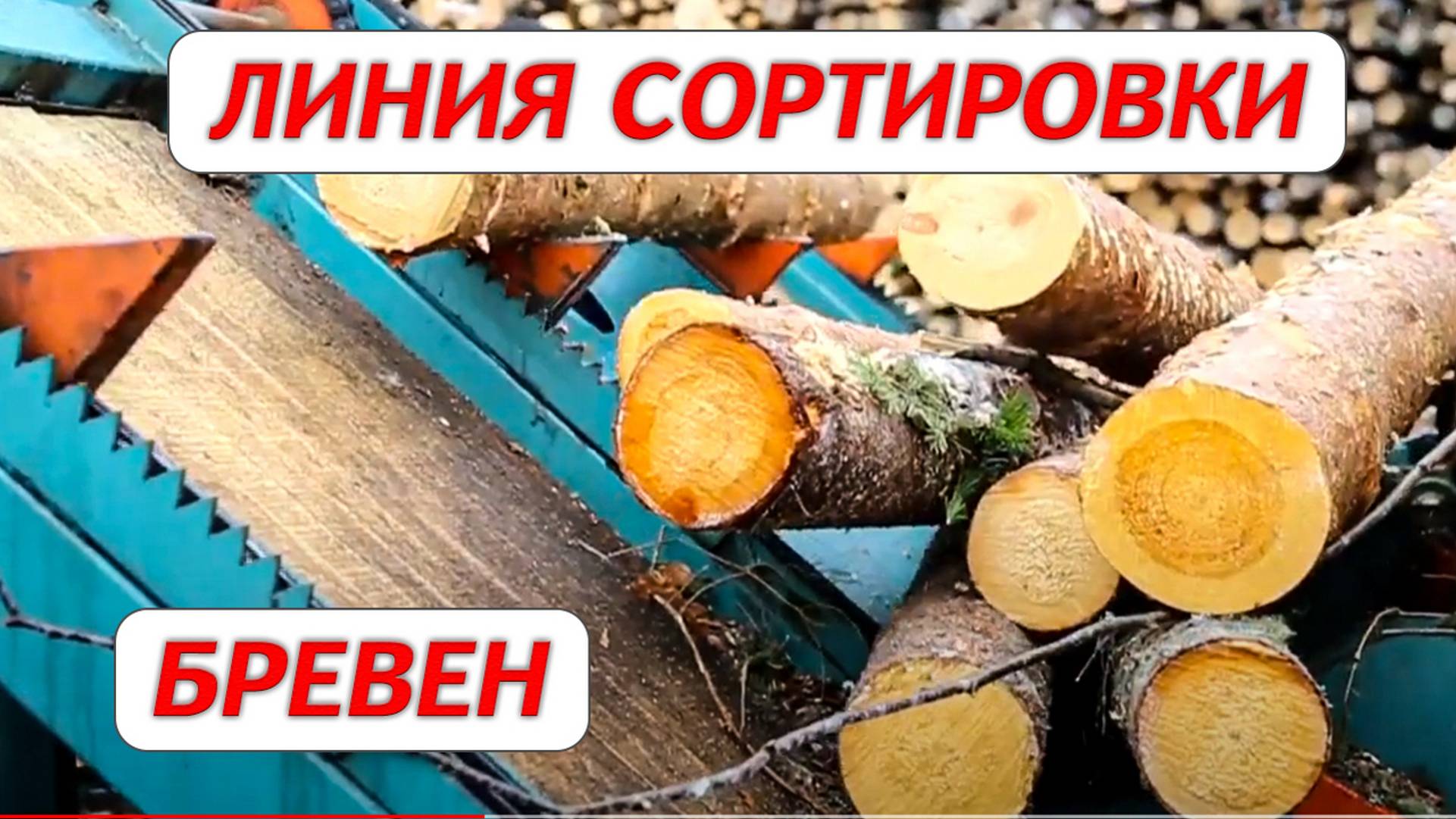 Линия сортировки брёвен Cronver LSB 12 смотреть онлайн