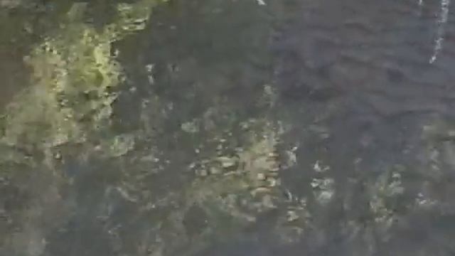 Ящик Пандоры или Рог Изобилия Предисловие смотреть онлайн