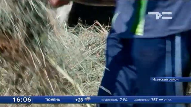 Исетские молочные реки смотреть онлайн