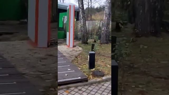 Ново Простоквашино 08.11.23г