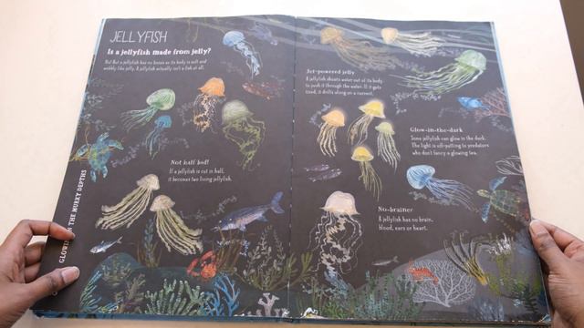 Big Book of the Blue (The Big Book Series) by Yuval Zommer смотреть онлайн