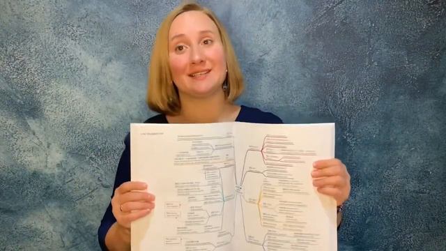 Учебное пособие «Китайский в схемах-паутинках. Уровень 5» смотреть онлайн