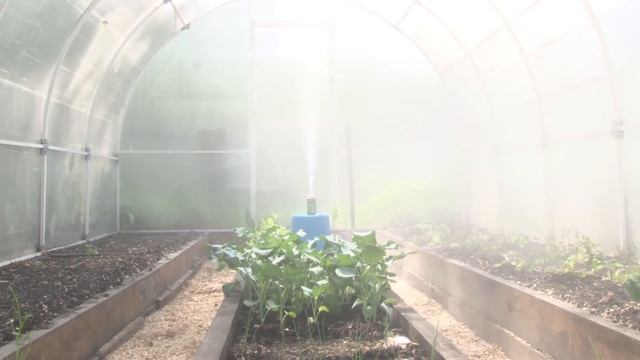 Голова садовая - Пиретрум и Фоггер - Аэрозоль от насекомых. 4 часть смотреть онлайн