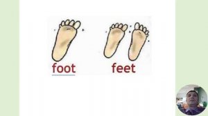 3 класс. Урок 30 "Cows are funny!"(урок 9b,  по модулю 5 "Furry friends!") по учебнику Spotlight