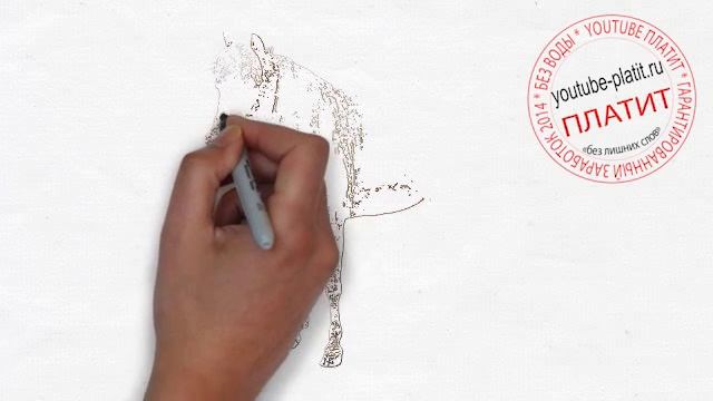 Как поэтапно простым карандашом нарисовать лошадь спирит смотреть онлайн