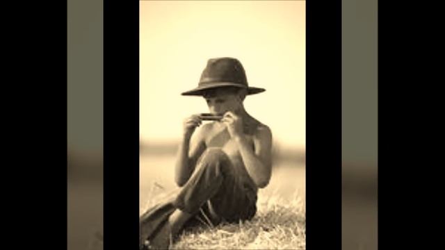 Harmonica Country-Blues смотреть онлайн
