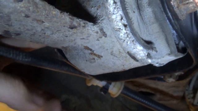 Астра и Джетта. Пробуждение после спячки смотреть онлайн