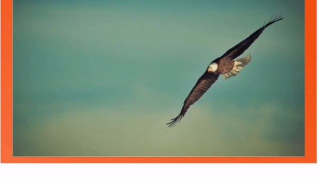 Excel 7. The Flight of the Steppe Eagle смотреть онлайн