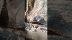 Вода в салоне пассат б5