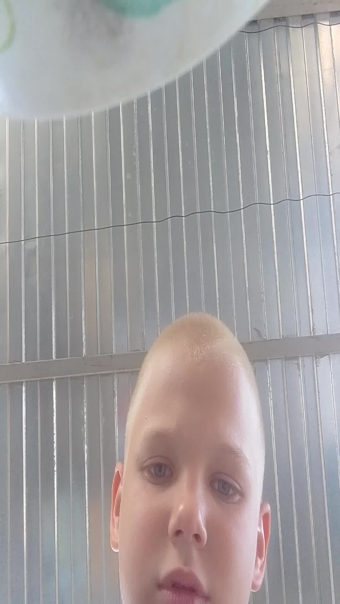 нулс бравл смотреть онлайн