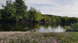 Наш деревнский пляж. Речка Судость. Брянская область. 04.07.2022г. Сказка ??