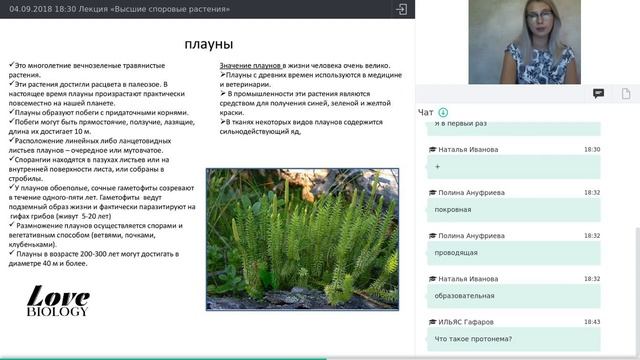 Лекция «Высшие споровые растения» смотреть онлайн