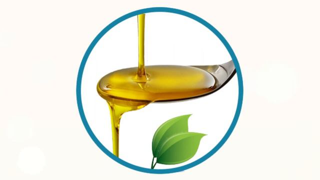 Salmon Oil For Dogs | Benefits | Omega 3 | Best Paw Nutrition смотреть онлайн