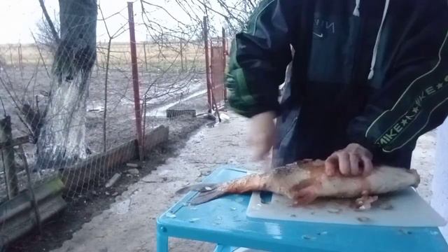 Переехали на ЮГ./ Звонок из будущего./ Необычный подарок на новый год. смотреть онлайн