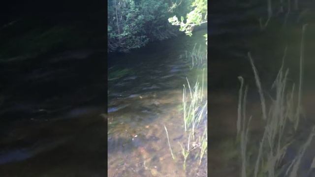 речка чаган ( Оренбургская область первомайский район) смотреть онлайн