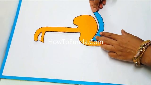 human digestive system working model 3d science project for science exhibition - diy | howtofunda смотреть онлайн