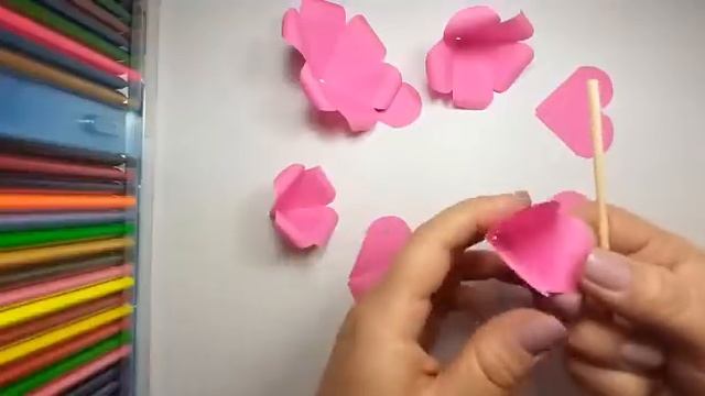 ROSA DE PAPEL смотреть онлайн