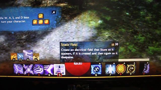 Guild Wars 2 Elementalist Skills - gw2.revgaming.net смотреть онлайн