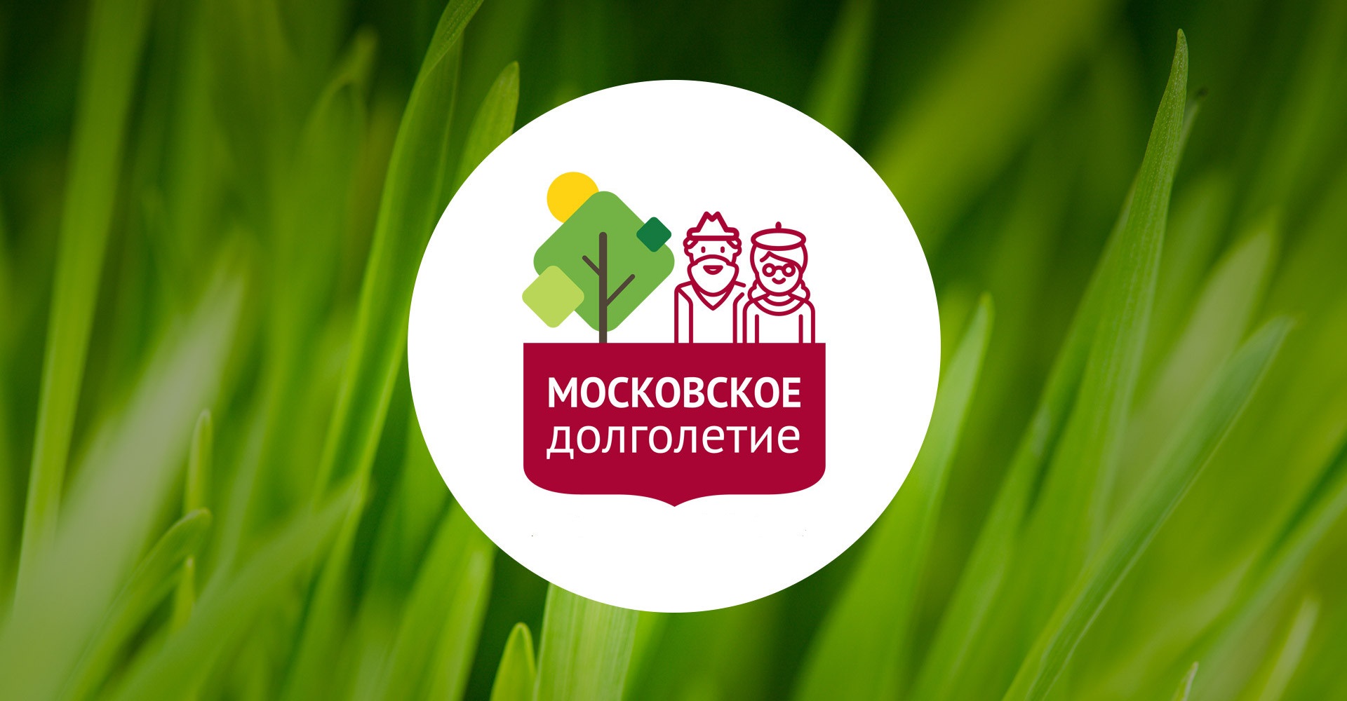 Центр московского долголетия «Бибирево» (СВАО) смотреть онлайн