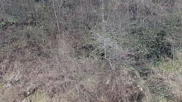 Лазаревское Река Псезуапсе , красивейшее местечко! Шашлык у реки! смотреть онлайн