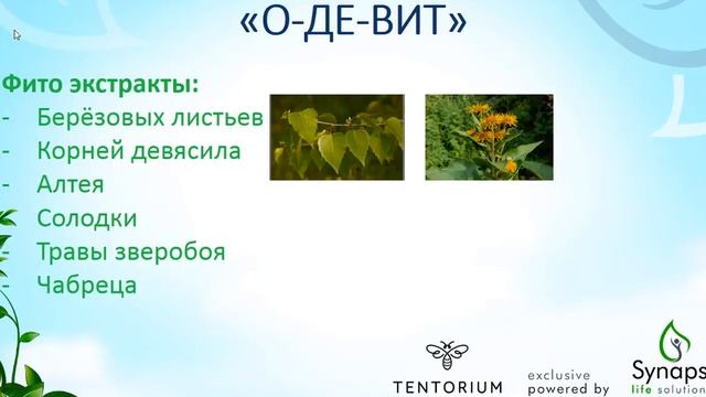 О ДЕ ВИТ смотреть онлайн