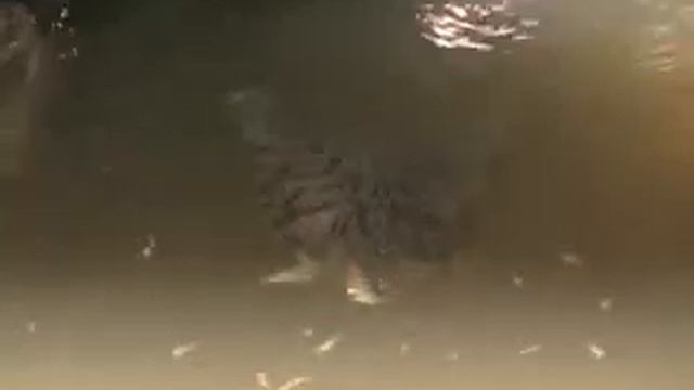 Estacion Atocha Вокзал Аточа смотреть онлайн