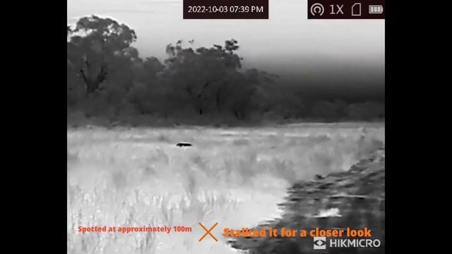 Hikmicro Lynx Pro LH25