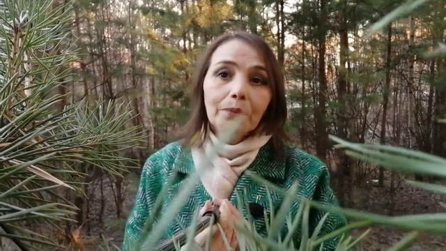 Книга Жизни ЛаИШи ВсеУЭльШи смотреть онлайн