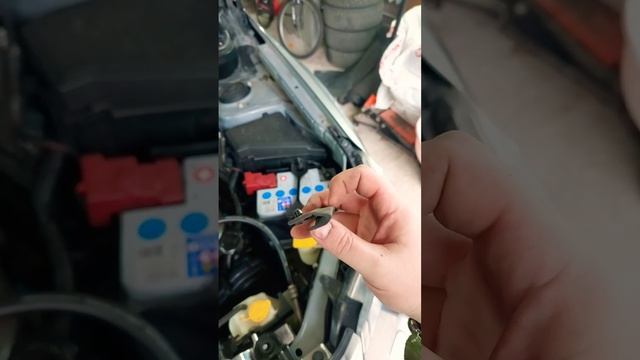 Замена уплотнителя капота на Субару! смотреть онлайн