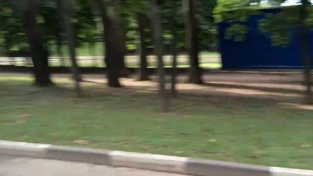 двухколесный сигвей цена смотреть онлайн