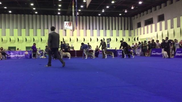 Group 5 Specialty Under Judge Mr.Stefan Mitrevski (Macedonia)-Jul 12'15