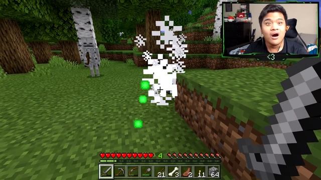 How To Make a Friendly Skeleton in Minecraft Pocket Edition (Friendly Skeleton Addon) смотреть онлайн
