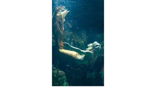 Фотографии русалок в риальной жизни смотреть онлайн