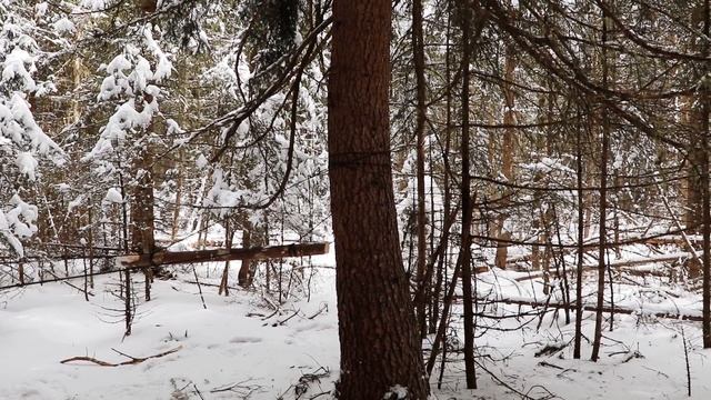 Letto da campo Bushcraft letto amaca - PeschoAnvi смотреть онлайн