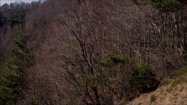 Kopitnik смотреть онлайн