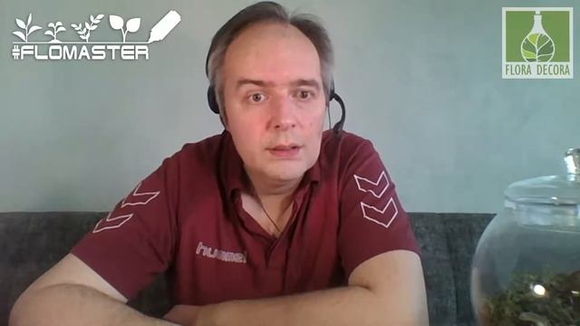 #FLOMASTER-12 Стрим-презентация онлайн-курса смотреть онлайн