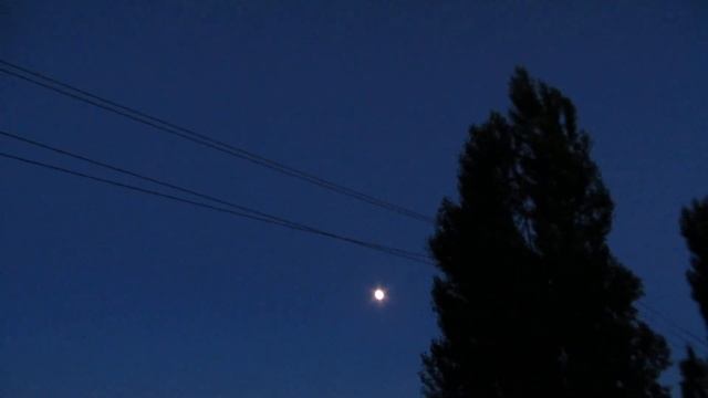 canon sx 240 смотреть онлайн