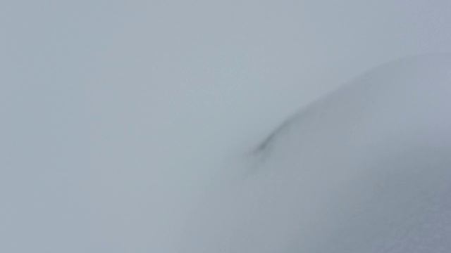 Укрытие молодых растений на зиму в Ленинградской области смотреть онлайн